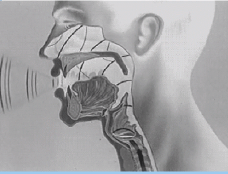 wp-17040990515087438950186802012086