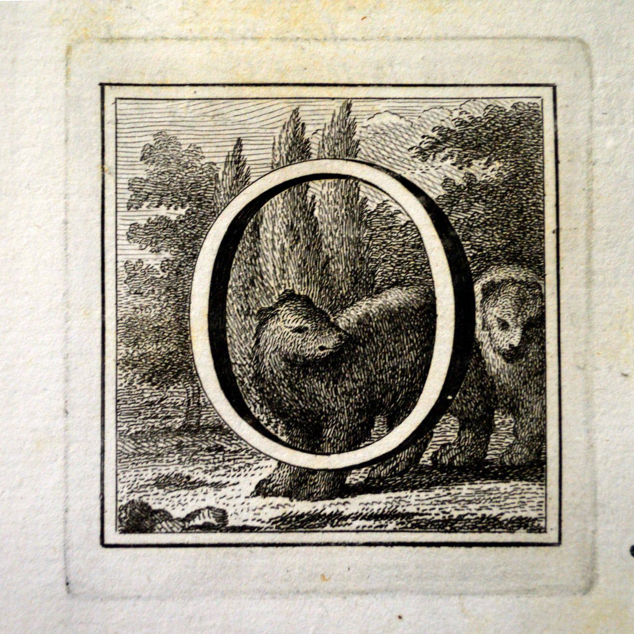 wp-17251358641901958371537025624267